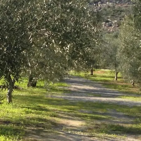 Ktima Agrilia 1 Βιγκλάφια