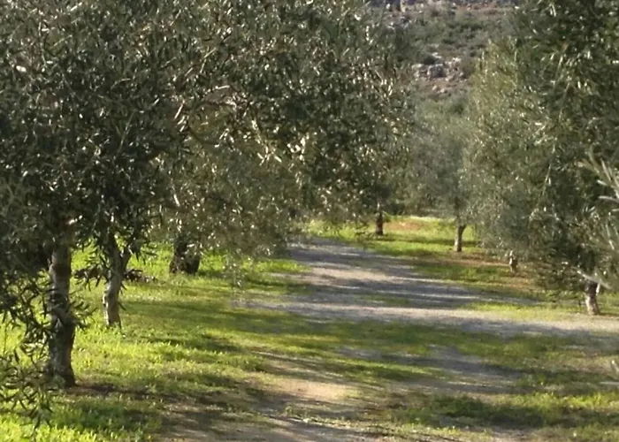 Ktima Agrilia 1 Vingláfia